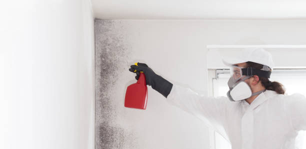Best Mold Testing  in Hooper, UT