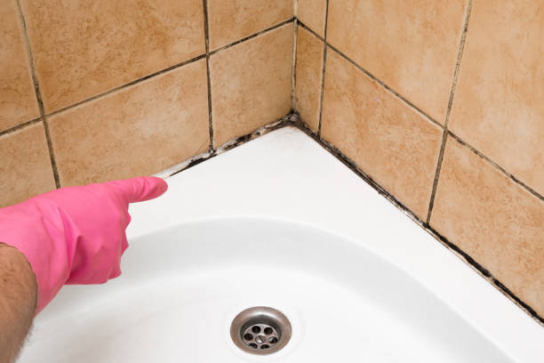 Best Mold Testing  in Hooper, UT